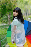 新乱世佳人演员表